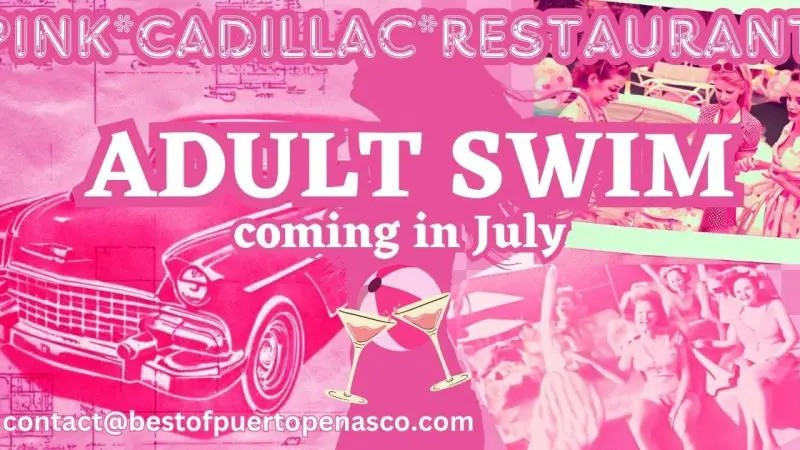 Pink Cadillac Adult Swim Party